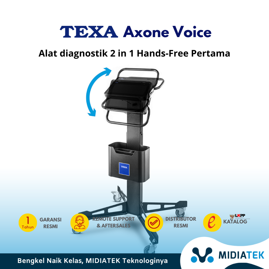  TEXA AXONE VOICE — foto 4