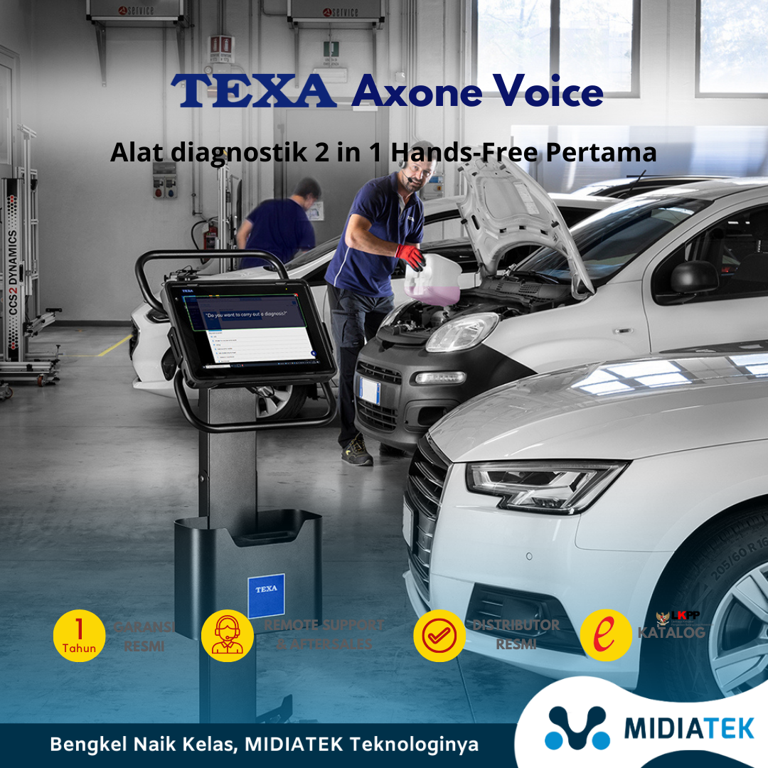  TEXA AXONE VOICE — foto 6